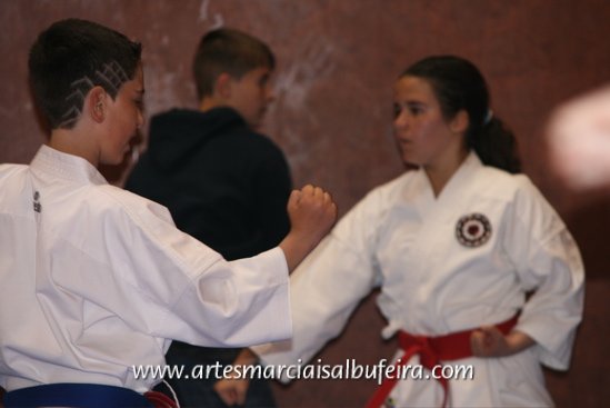 Fotoarchiv - 158