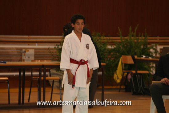 Fotoarchiv - 208