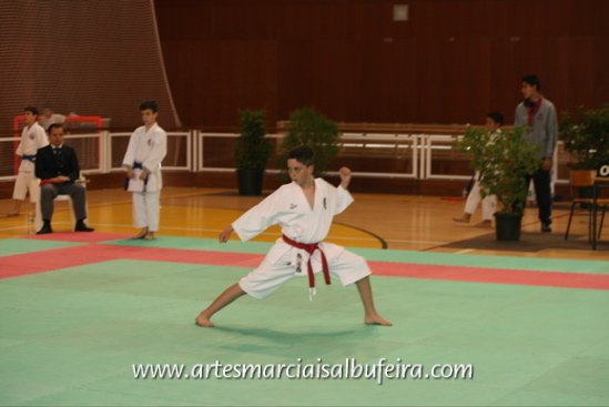 Fotoarchiv - 217