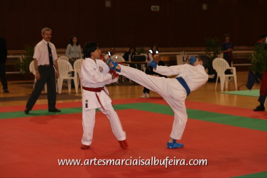 Fotoarchiv - 242