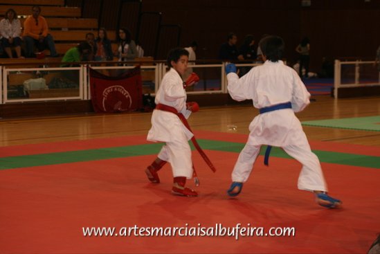 Fotoarchiv - 273