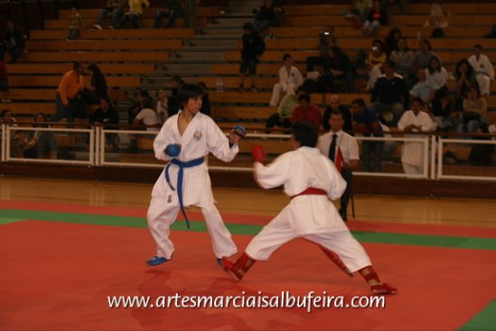 Fotoarchiv - 276