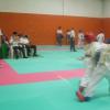 DSCI0038