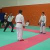 DSCI0086