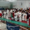 Campeonatos Internacionais