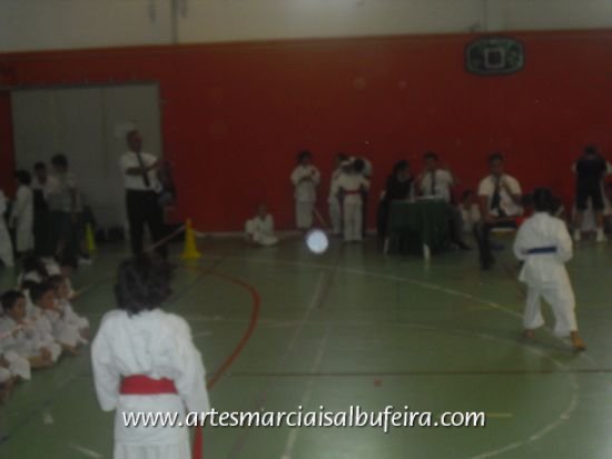 CIMG1253