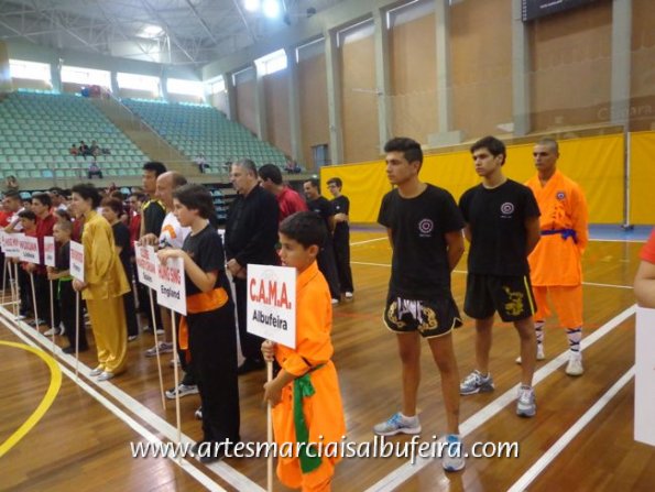 dragon-tiger-cup_04