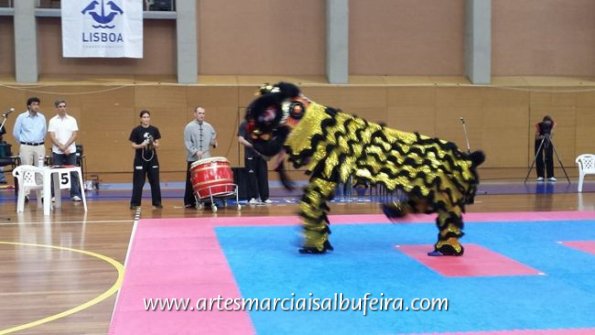dragon-tiger-cup_11