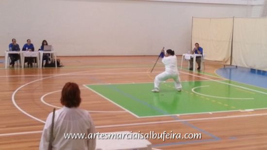 2012_1208 Carla Tai Chi Arma (5)
