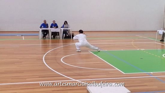 2012_1208 Carla Tai Chi Punho (10)