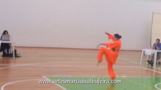 2012_1208 Inês Punho (7)