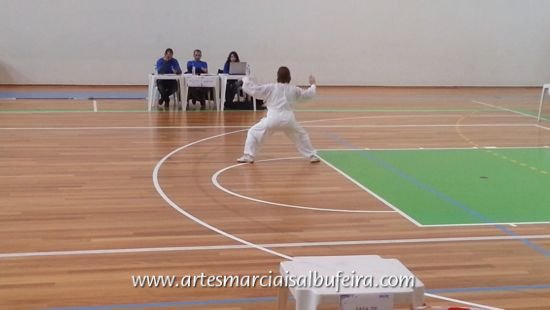 2012_1208 Jane Tai Chi Punho (19)