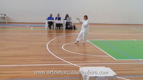 2012_1208 Jane Tai Chi Punho (33)