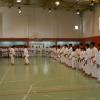 Fotoarchiv - 341