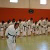Fotoarchiv - 371