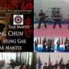 foto de capa do estagio do mestre chines