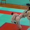 Kumite luis silva 104