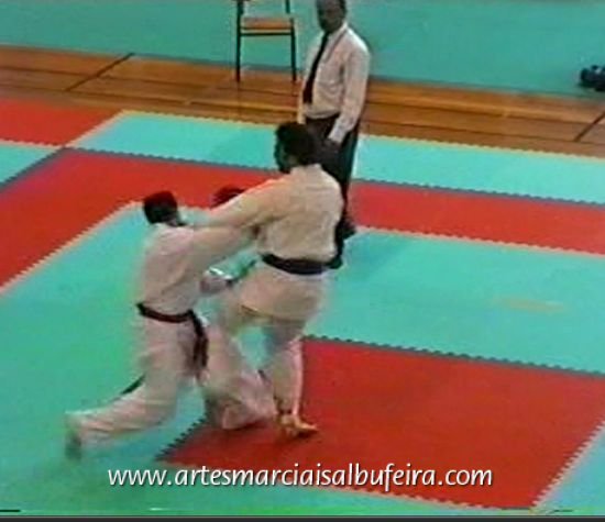 Kumite luis silva 105