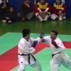 Kumite luis silva 181