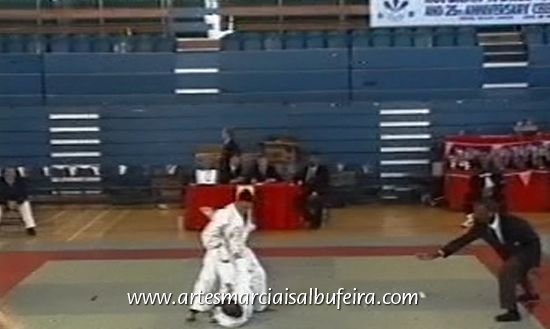 Kumite luis silva 234