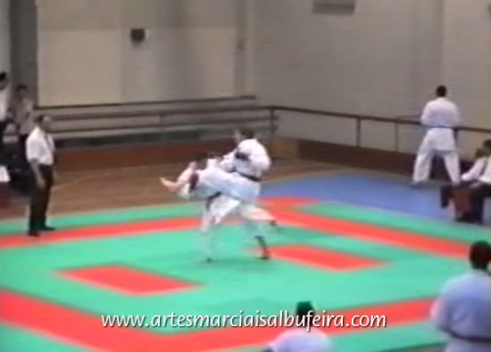 Kumite luis silva 246