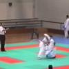 Kumite luis silva 247