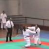 Kumite luis silva 248