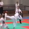 Kumite luis silva 250