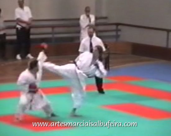 Kumite luis silva 250