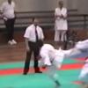 Kumite luis silva 252