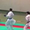 Kumite luis silva 25