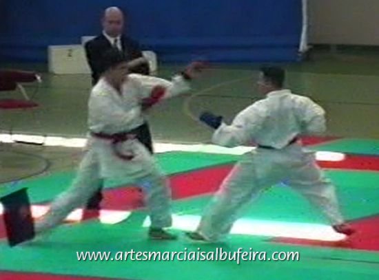 Kumite luis silva 29