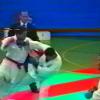 Kumite luis silva 75