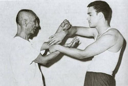 Wing Chun Chi Sao