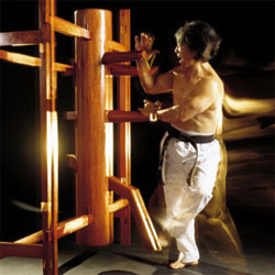 WING CHUN Kung Fu do Filme O Grande Mestre, Aprenda Técnica de Defesa de  Soco no Rosto e Abdomen 